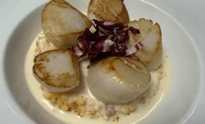 Noix de saint jacques snackée, risotto au chorizo, citron confit